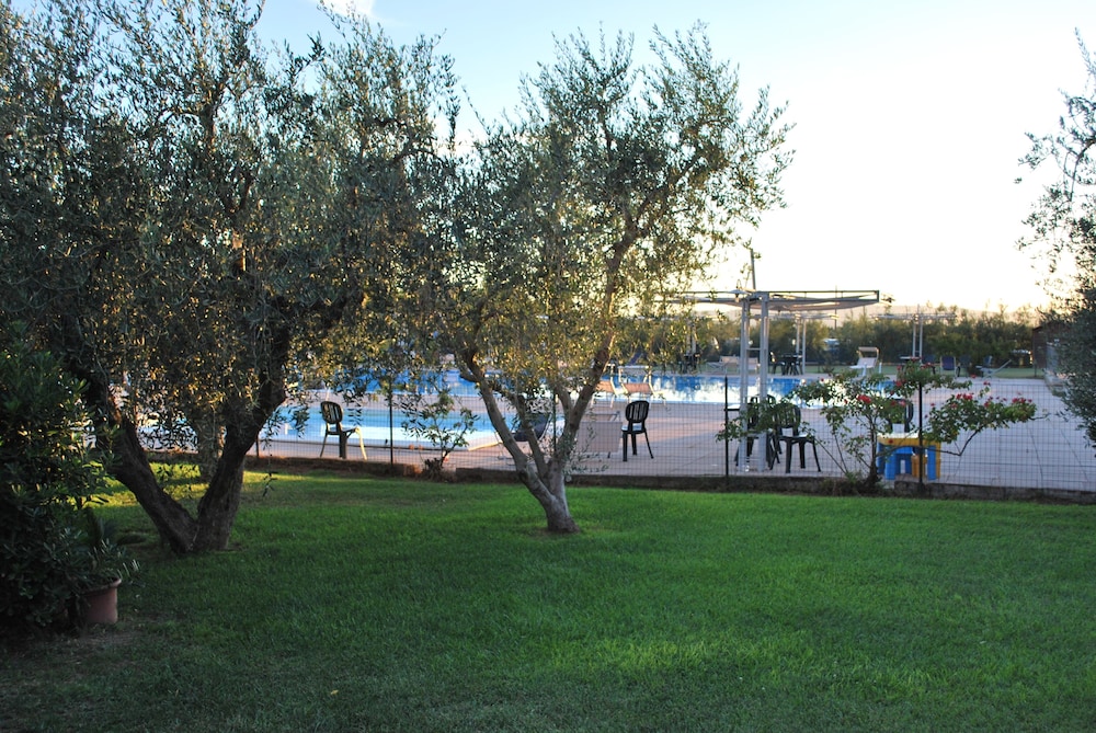 Photo 25