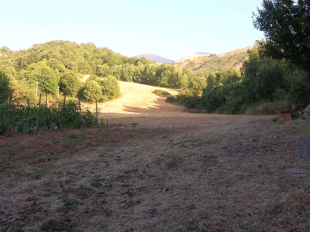 Photo 49