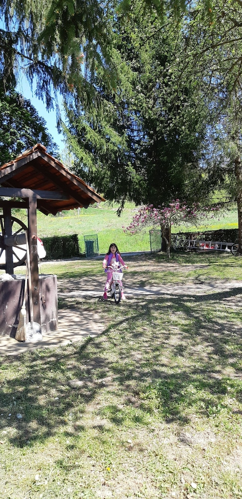 Photo 34