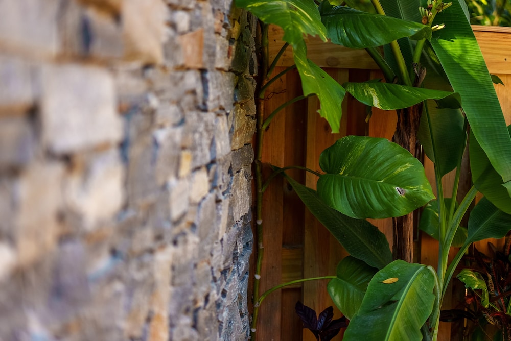 Belize Vacations - Ka'ana Resort - Property Image 156