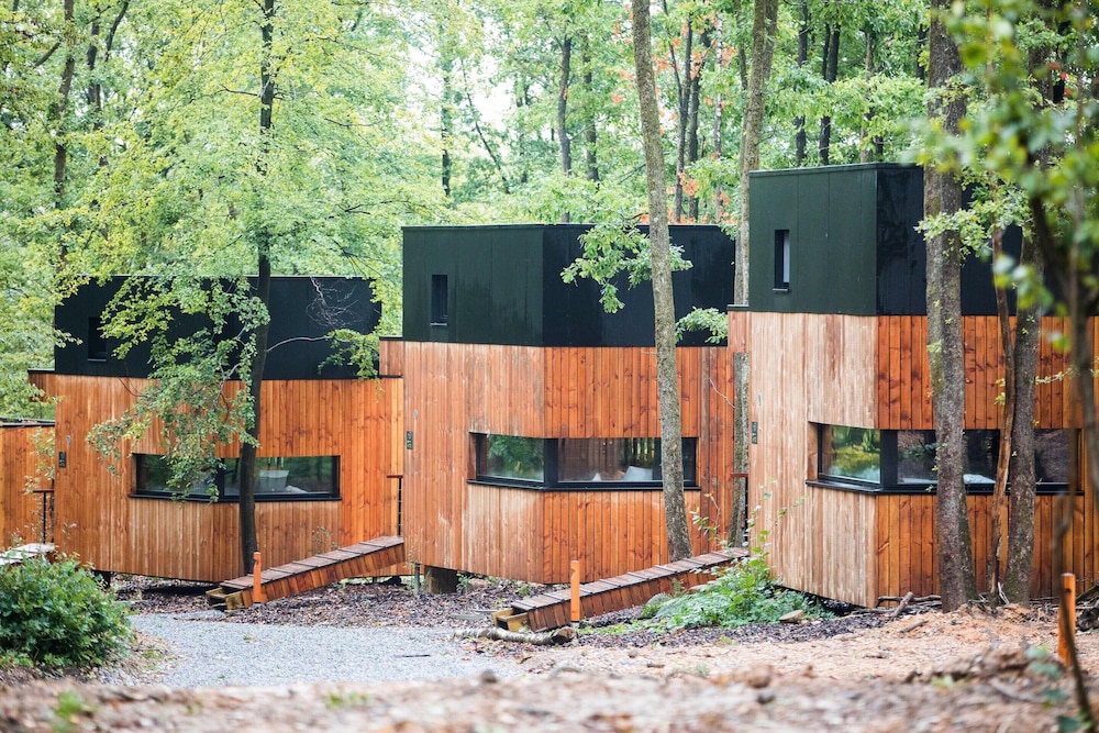 Eco Holiday Home in Viroinval in Nature