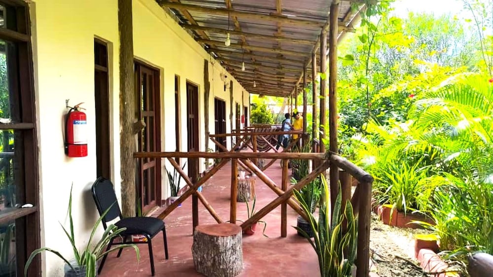 zanzllywood hotel and apartments