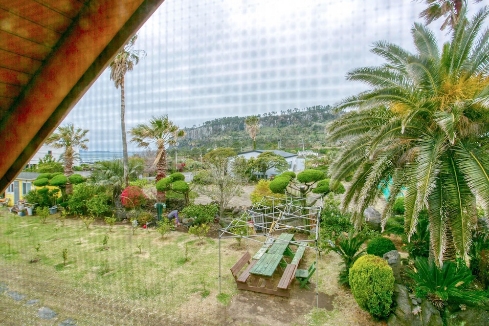 Seogwipo Neulbada Pet Pension view 4