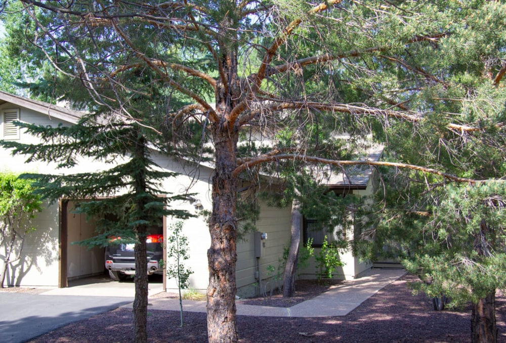 Photo 37