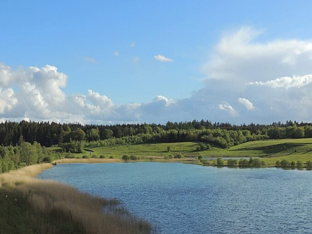 4 Person Holiday Home in Hampen