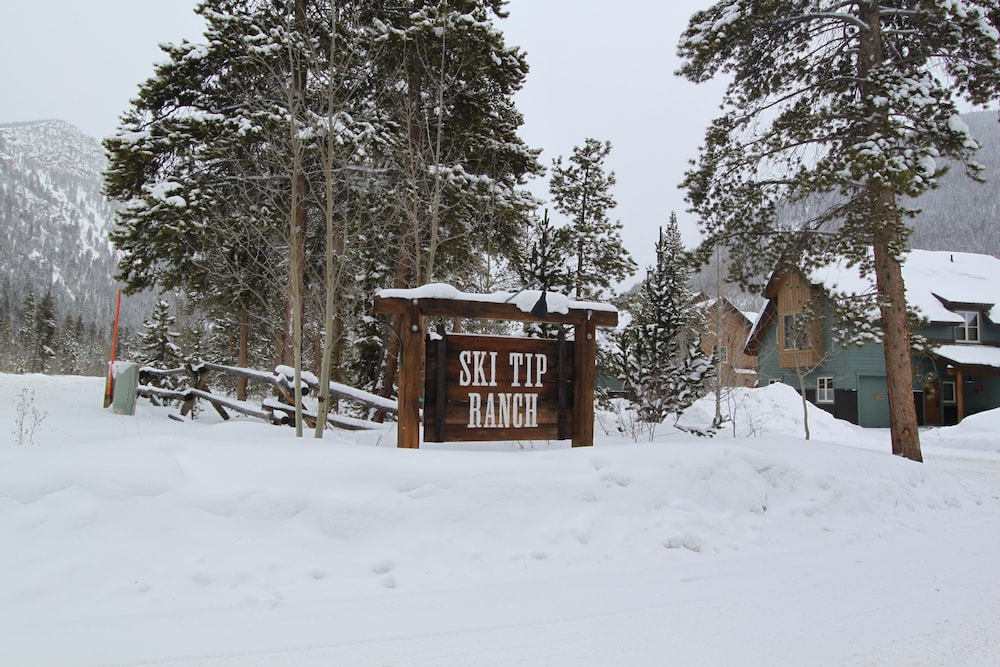 Ski Tip #8716