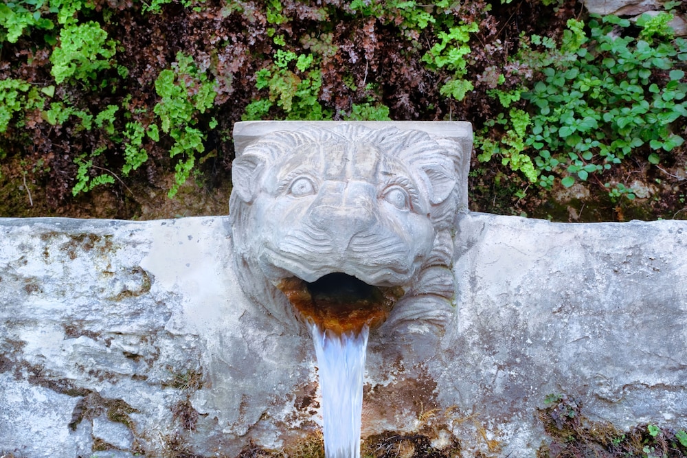 Photo 40