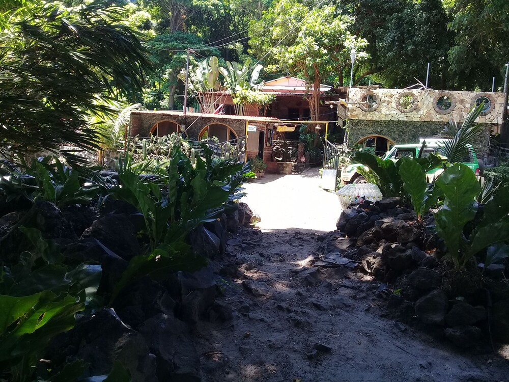 Photo 44