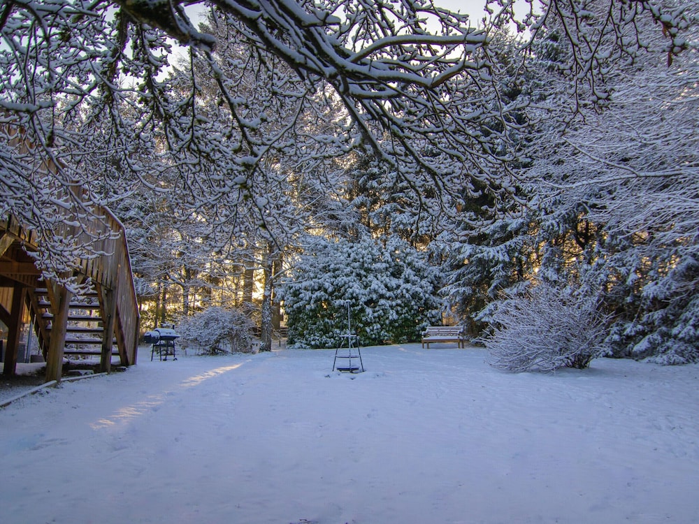 Forestside Escape Near Lake