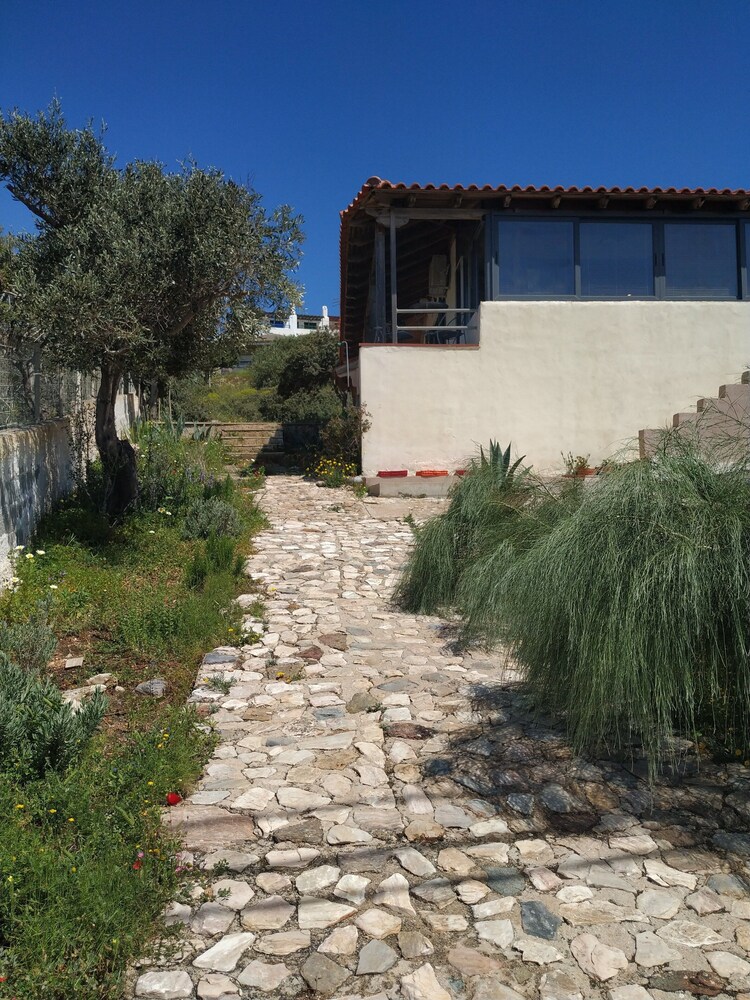 Photo 24