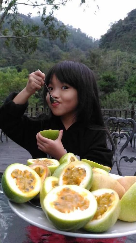 Photo 24