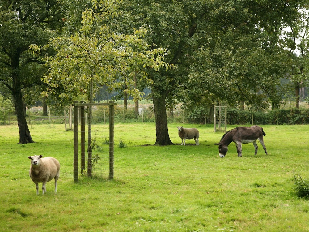 Beernem Countryside Home