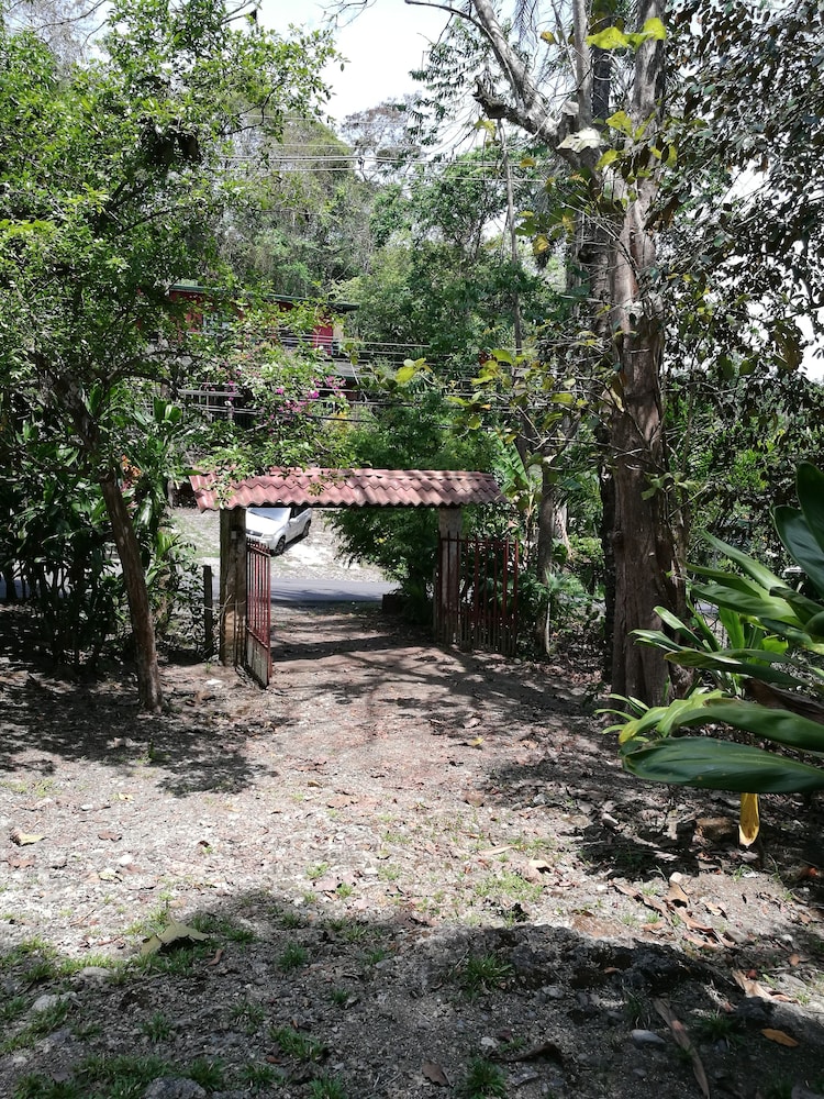 Photo 48