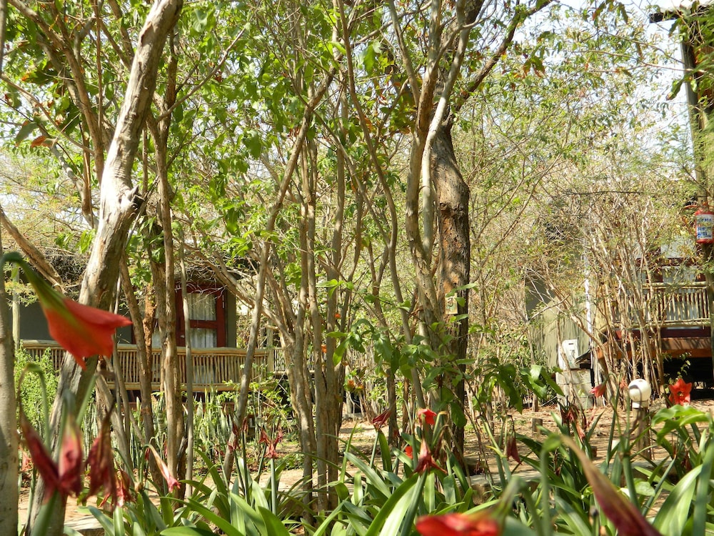 Kwalape Safari Lodge