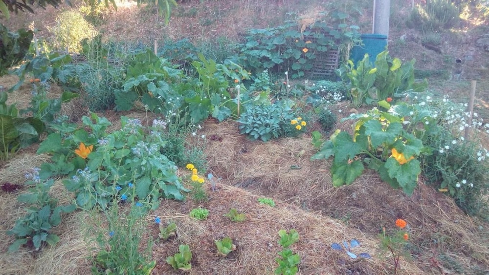 Photo 24