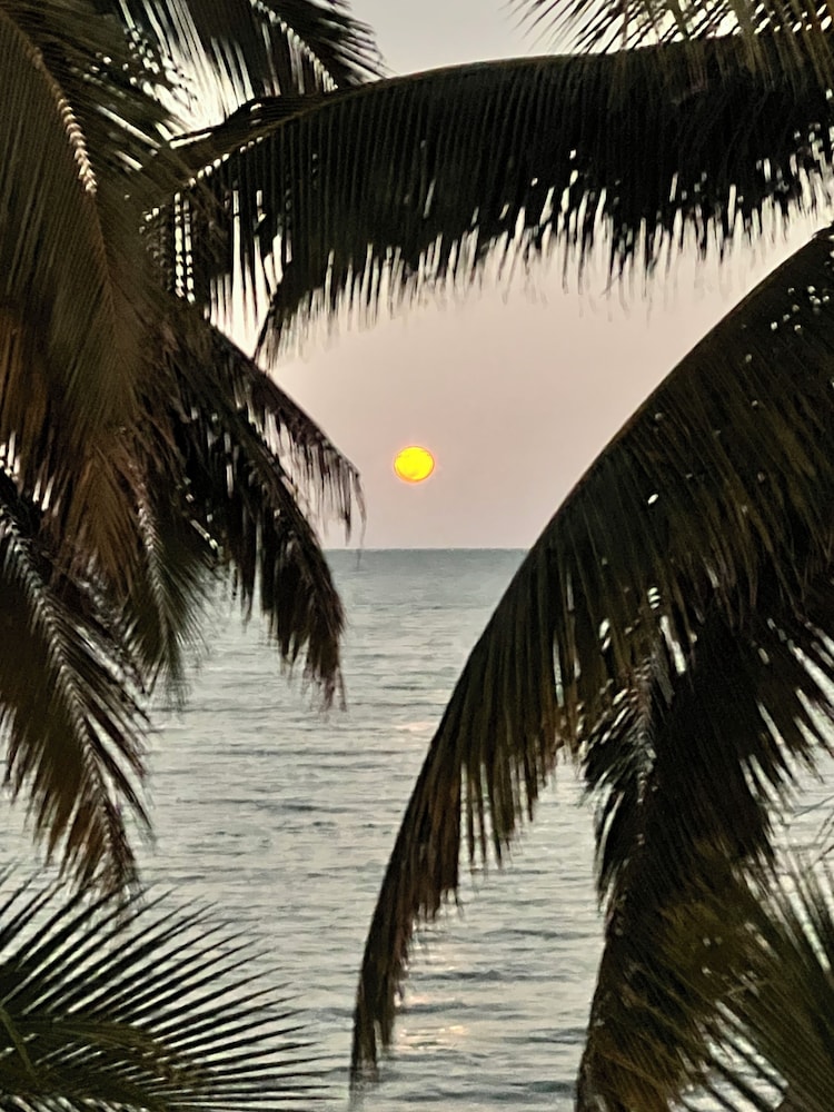 Finca Beachfront Tree house