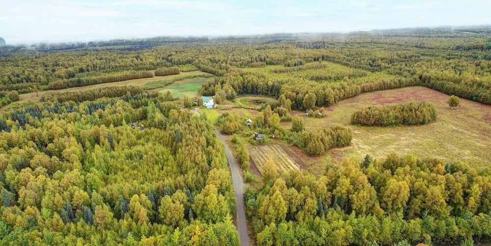 Falcon's Nest Bed & Breakfast