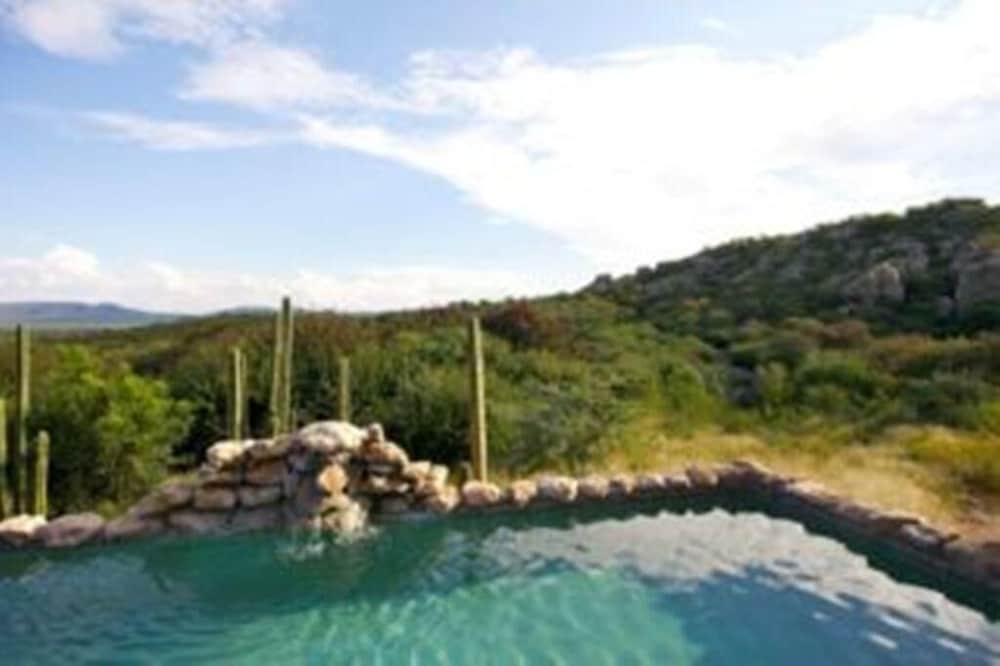Sasa Safari Camp