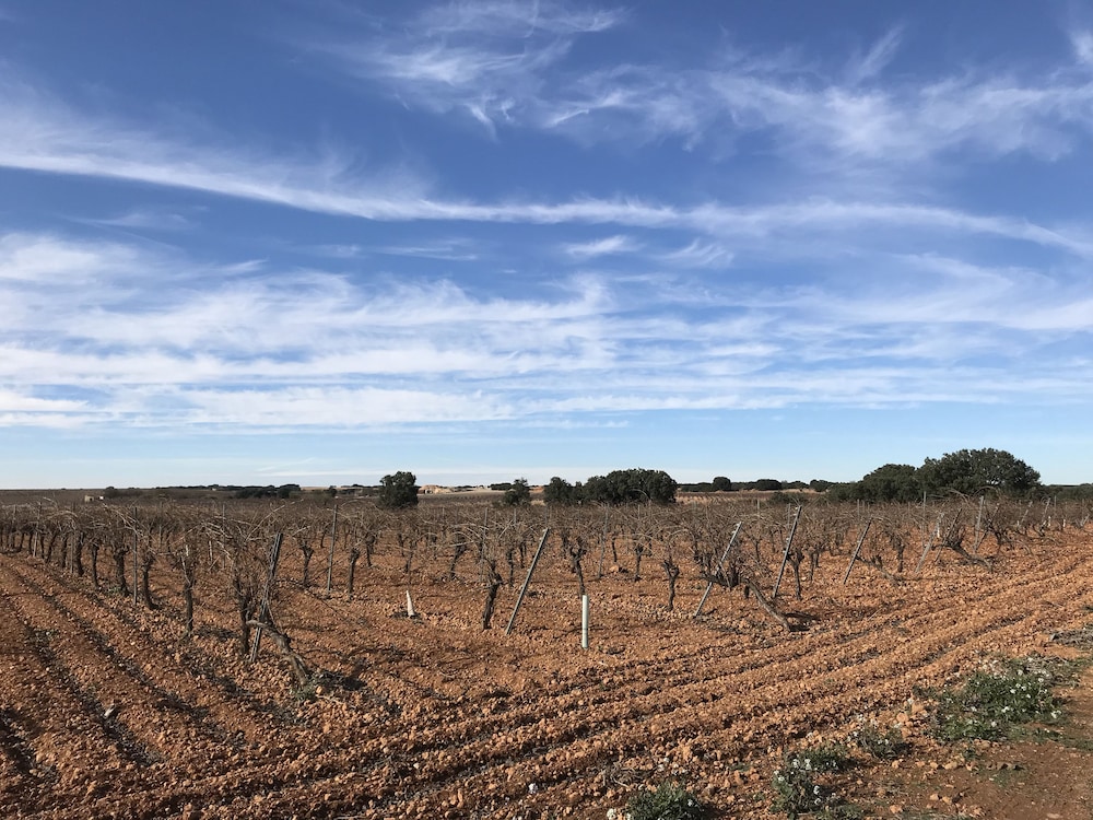 Hostal Rural Los Girasoles de iniesta