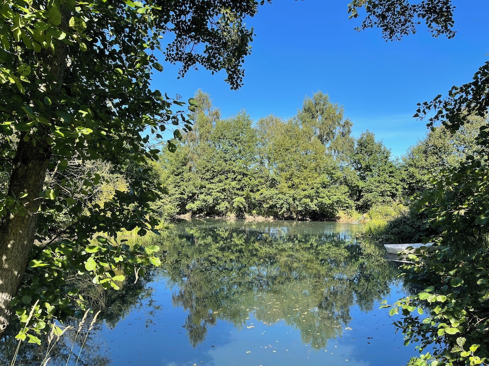 Acorn Glade
