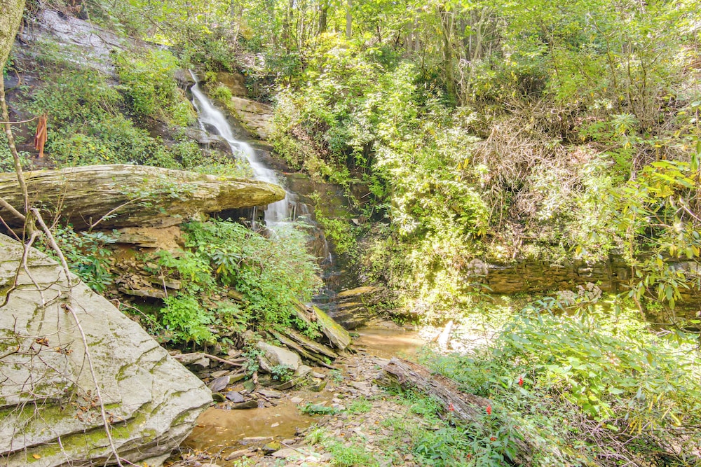 Amazing Waterfall! New Scenic Black Mtn Log Cabin