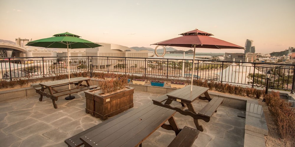 Paulownia Hostel & Guest House
