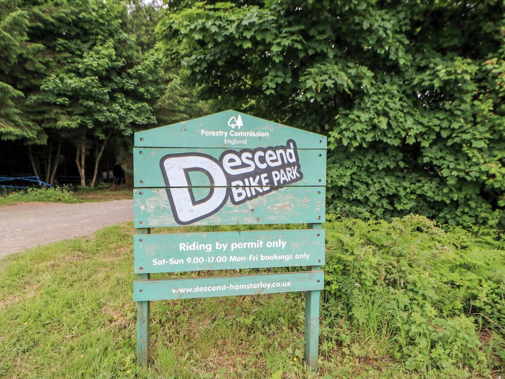 Forestside View