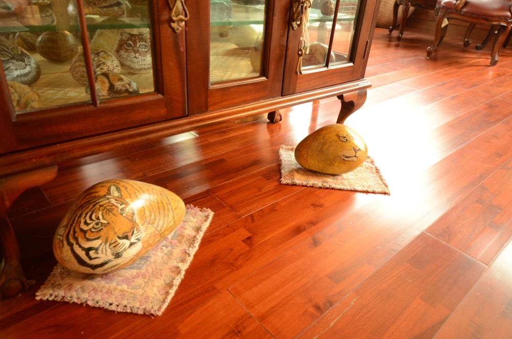 Hsinchu Emei Canadian WoodHouse Homestay