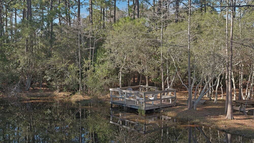 3BR Home in Seagrove Beach + Free Tickets: Bikes, Dolphin Cruise & More!