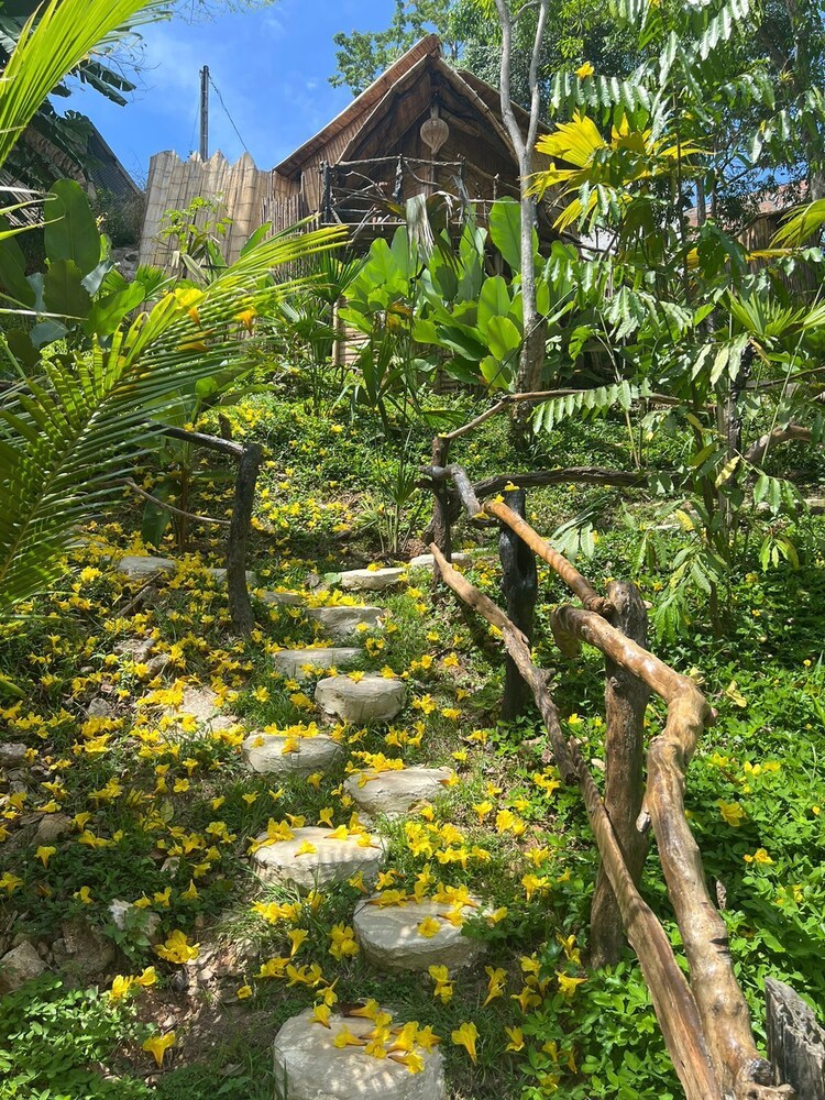 Akasha suites