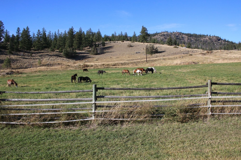 YD Guest Ranch