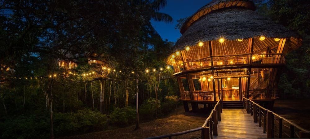 Treehouse Lodge