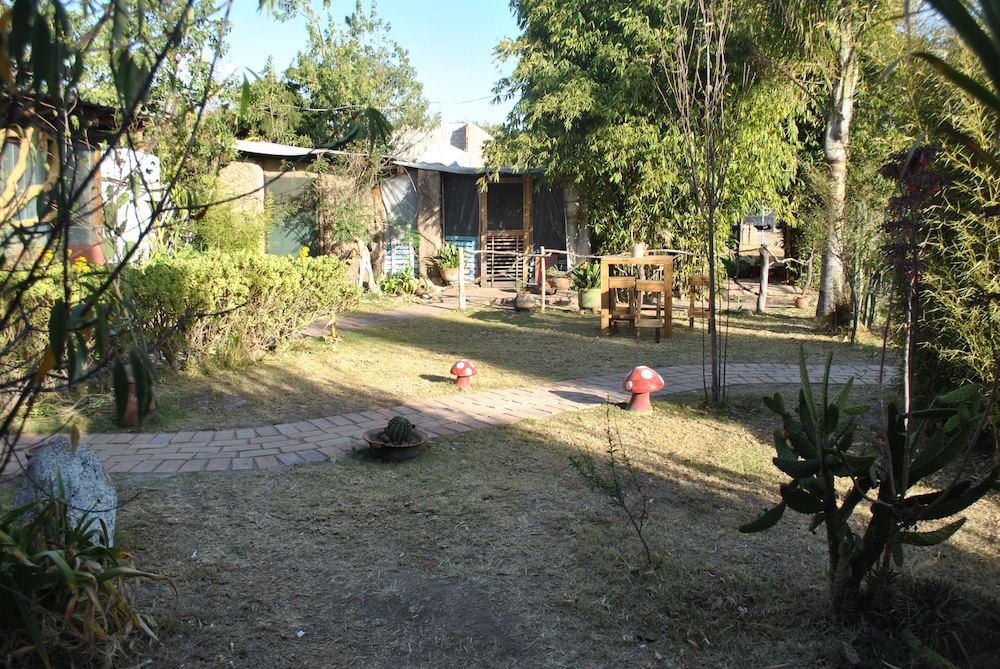 Photo 21