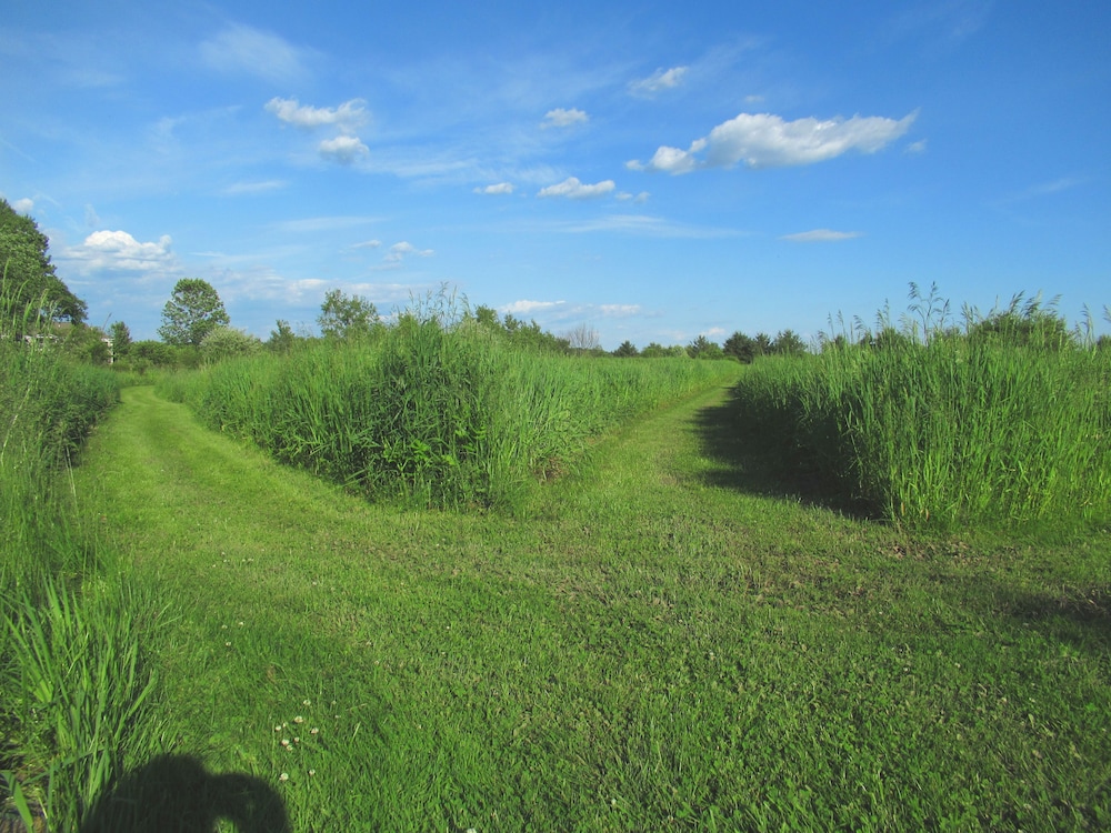 Photo 30