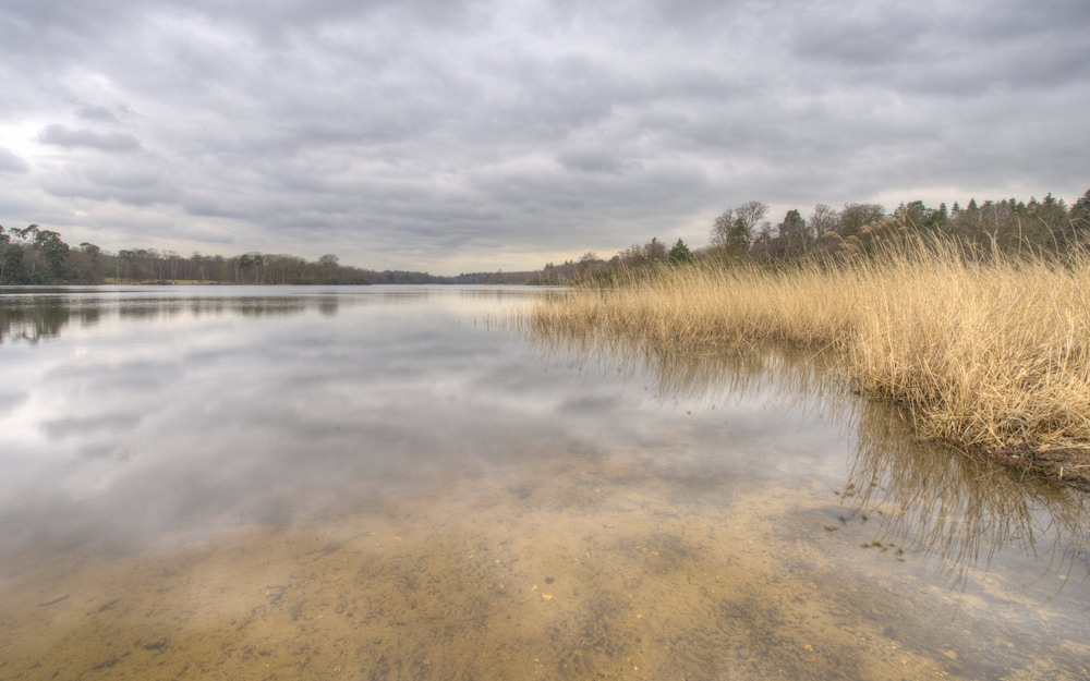 Wheatsheaf Hotel - Virginia Water by Chef and Brewer Collection