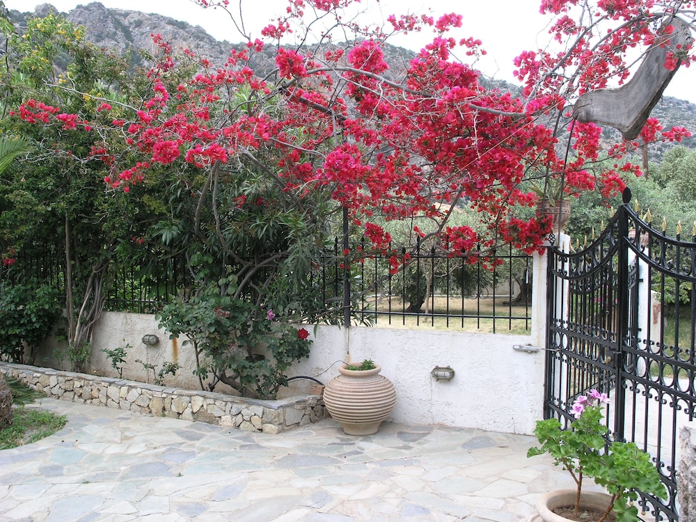 Photo 14