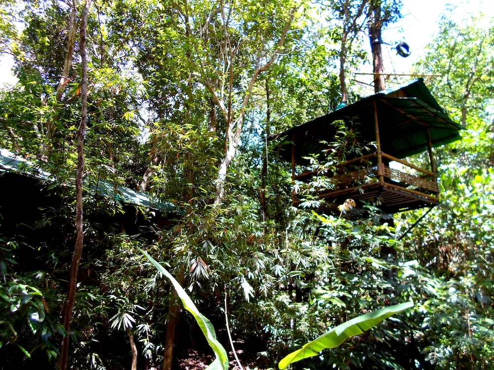 Khao Sok Tree House