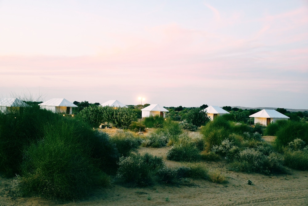 Sangram Desert Camp view 2