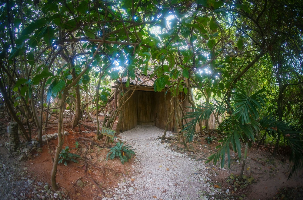 Great Huts - Photo 80