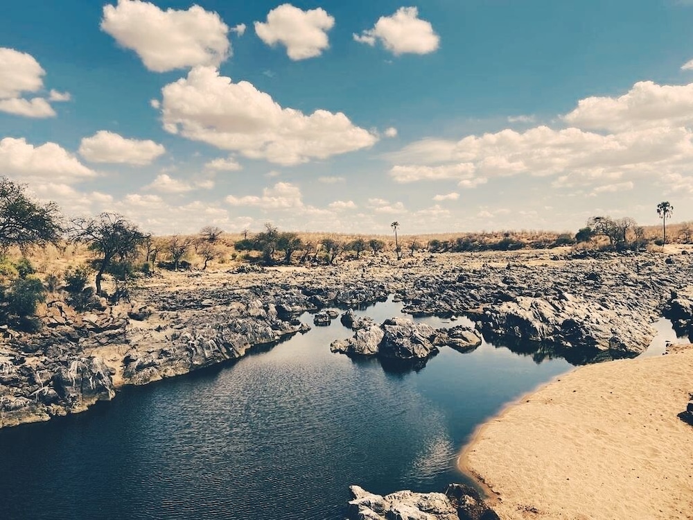 Photo 45