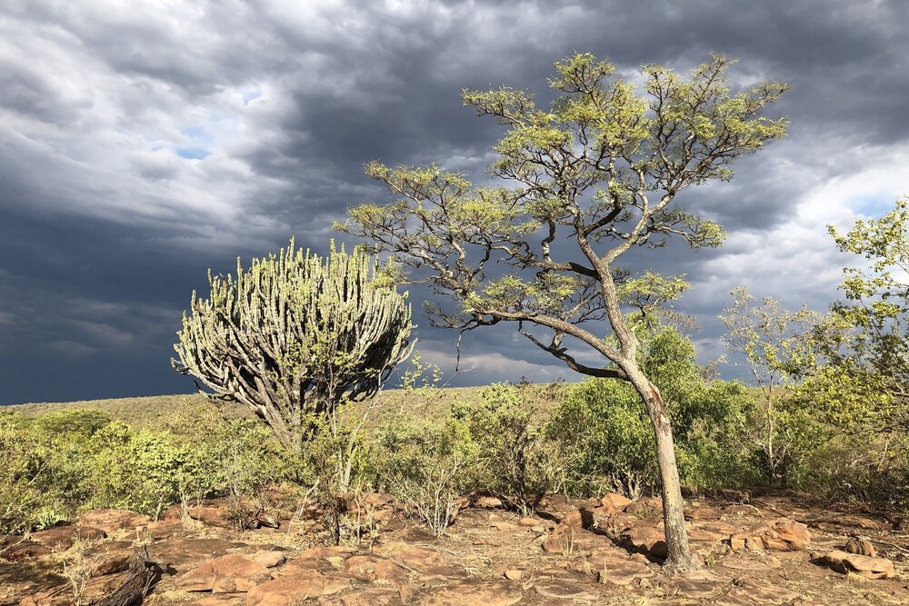 Nedile Lodge, photo 66