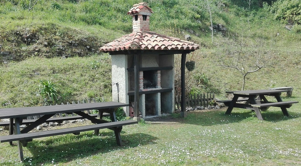 Trisqueles y Buganvillas