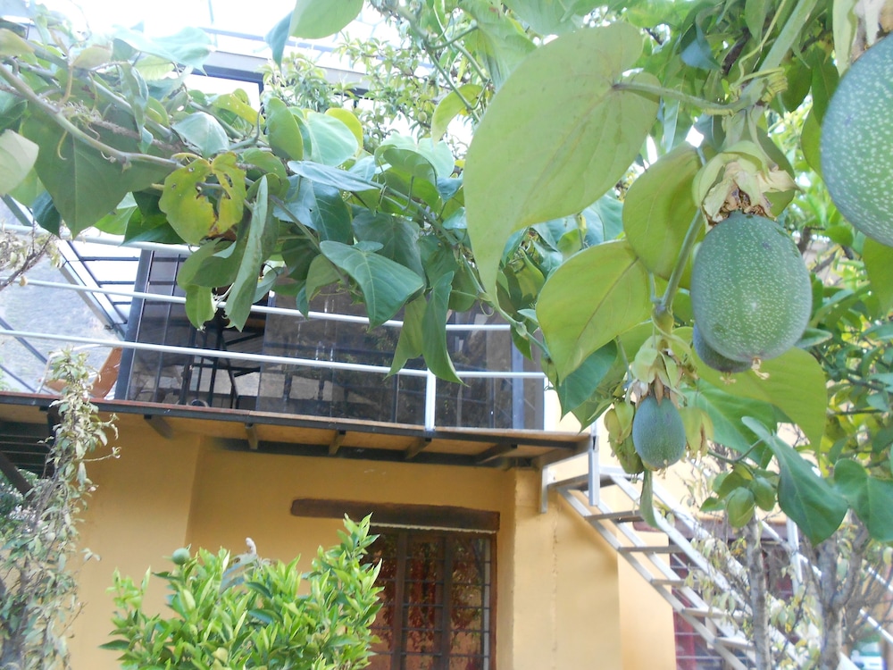 Garden Lodge
