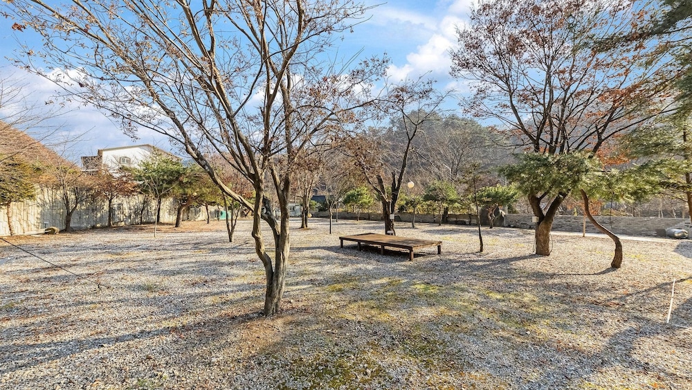 Gapyeong Dolgungpensyeon&kaempingjang view 4