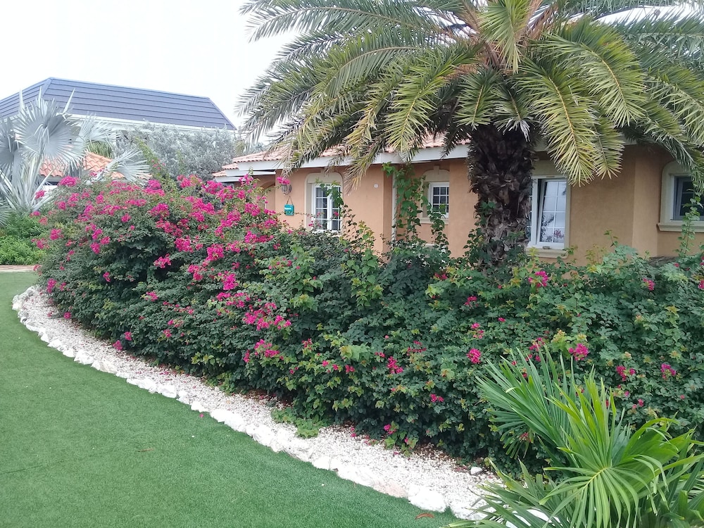 Bouganville B&B
