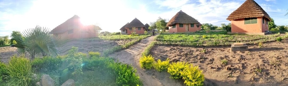 Photo 44