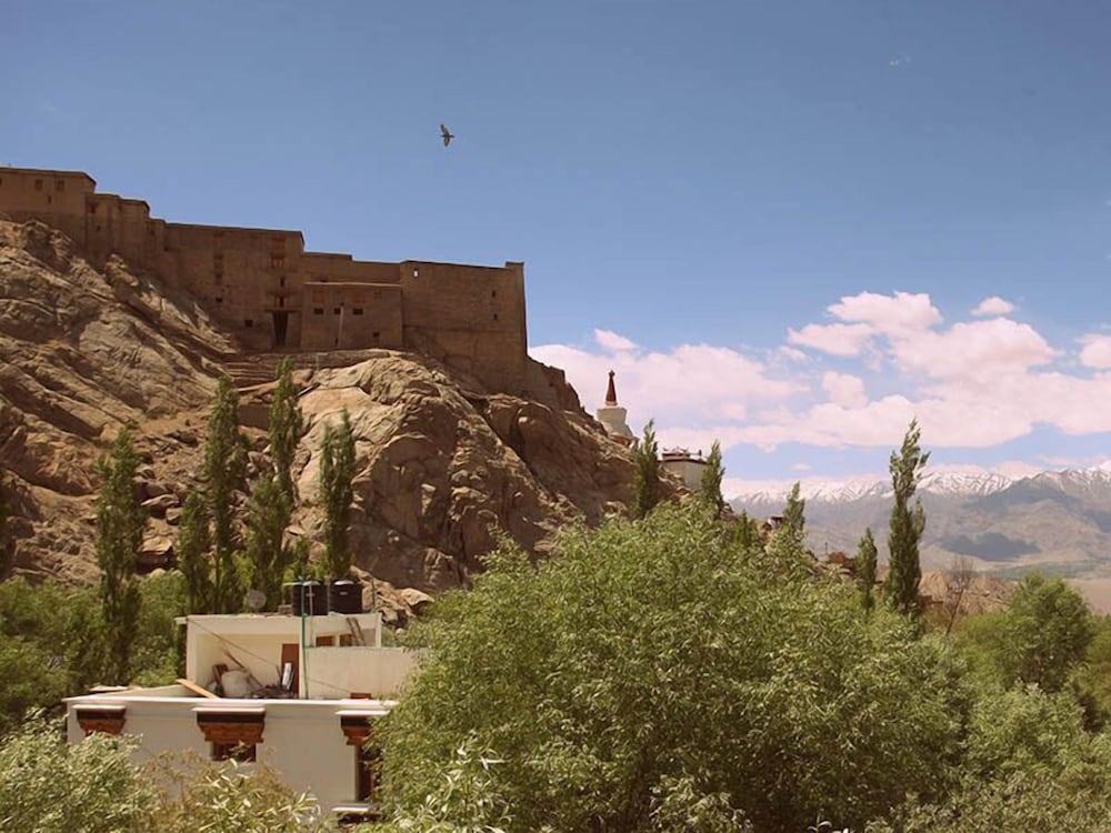 The Hotel Himalaya Leh