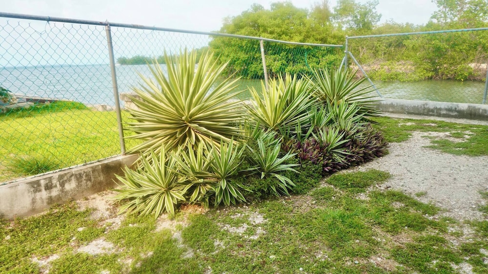 See Belize Waterside Sea View 2-bedroom Apartment w Balcony, Pool & Deck 2nd FL