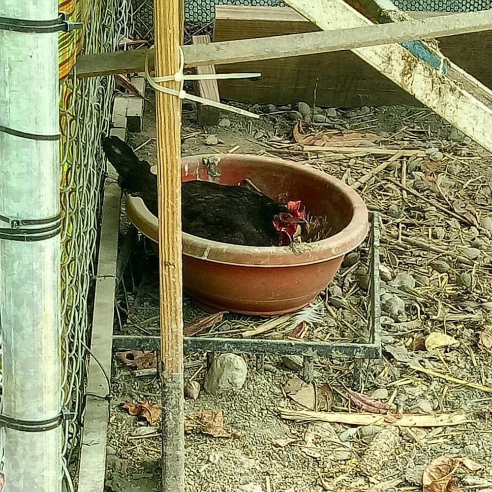 SNAIL B&B