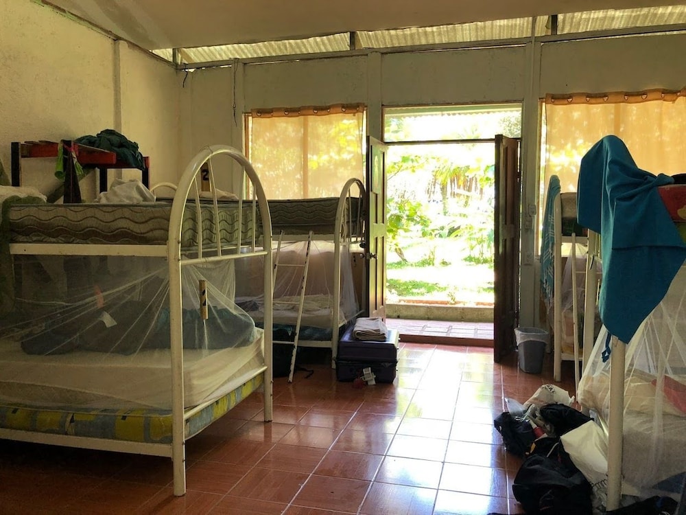Rescue Center - Hostel view 2